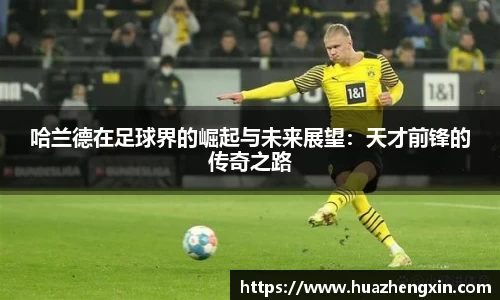 XK星空官方网站